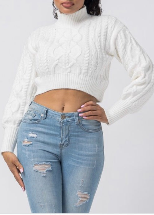 Hera Collection Turtle Neck Crop Cable Sweater (Cream) 22574