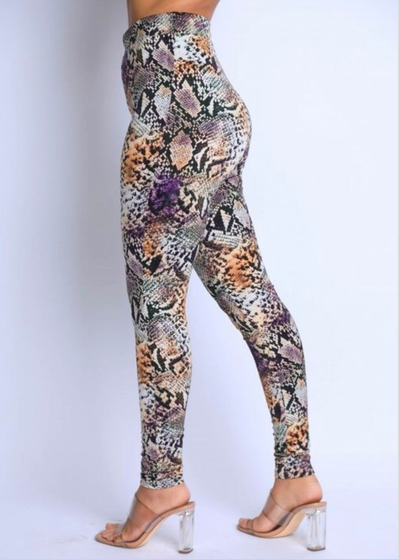 KTOO Snake Printed Leggings (Multi) NP6373