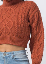 Hera Collection Turtle Neck Crop Cable Sweater (Rust) 22574