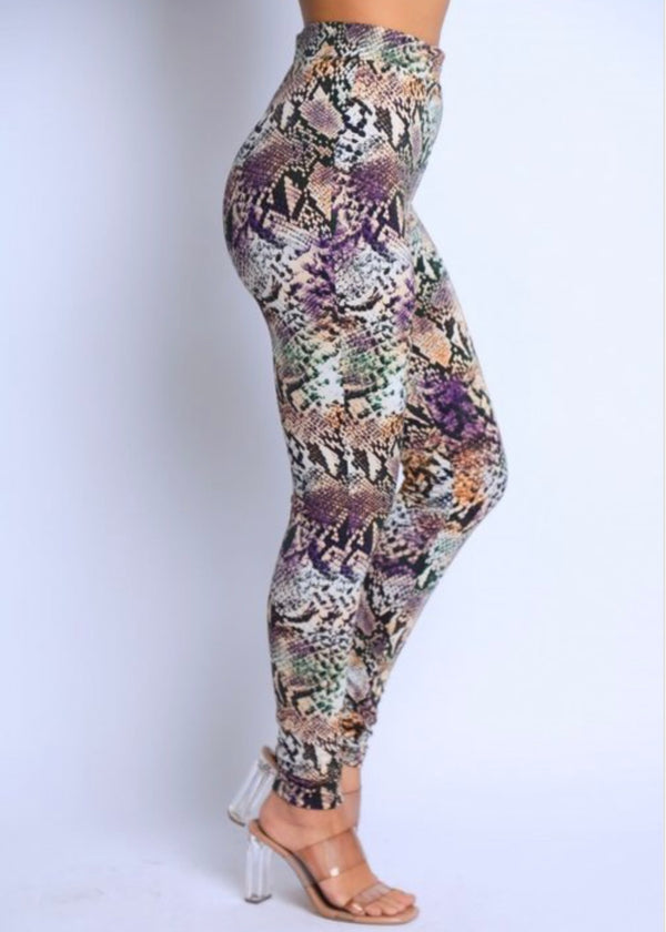 KTOO Snake Printed Leggings (Multi) NP6373