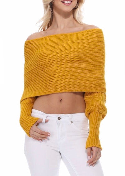 Yemak Off The Shoulder Long Sleeve Wrap Sweater Shawl (Honey) KC003