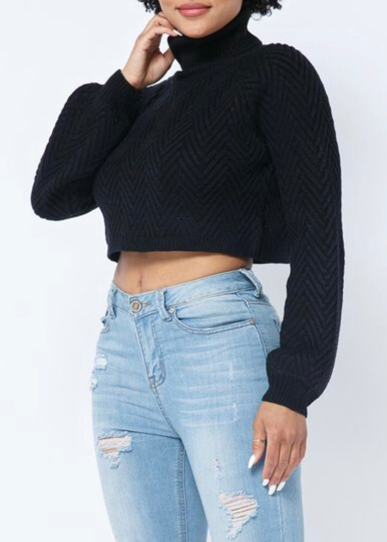 Hera Collection  Chevron Turtleneck Sweater (Black)