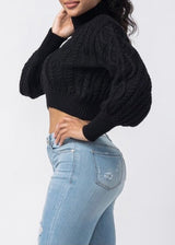 Hera Collection Turtle Neck Crop Cable Sweater (Black) 22574