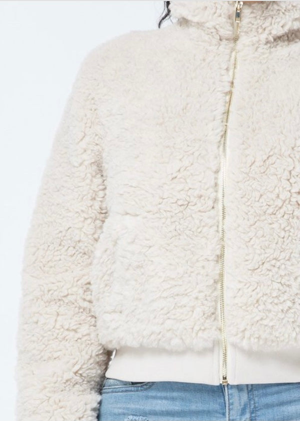 Hera Collection Poodle Jacket (Cream) 22532