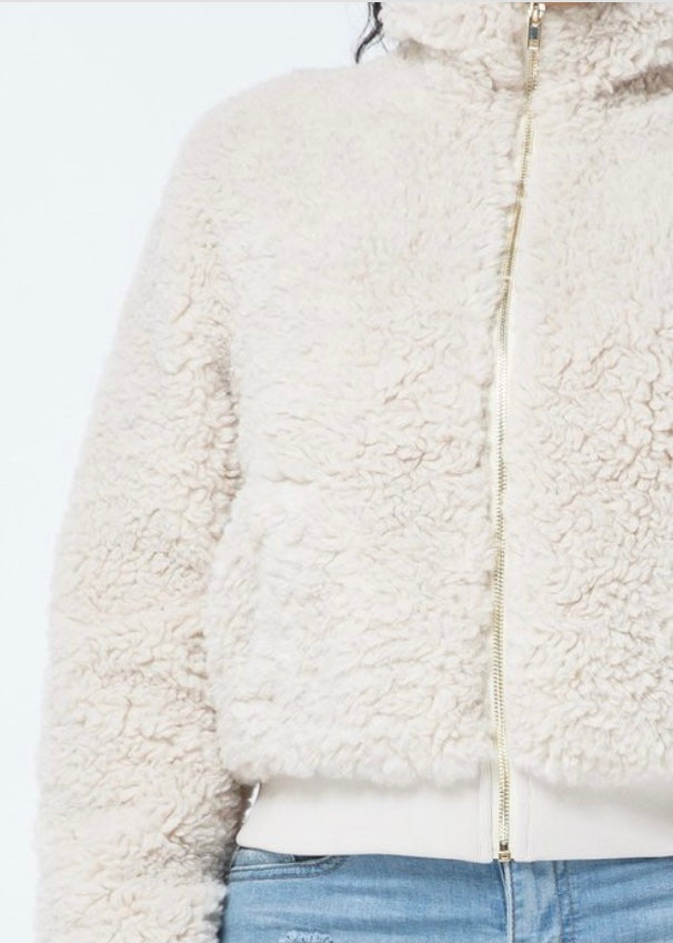 Hera Collection Poodle Jacket (Cream) 22532