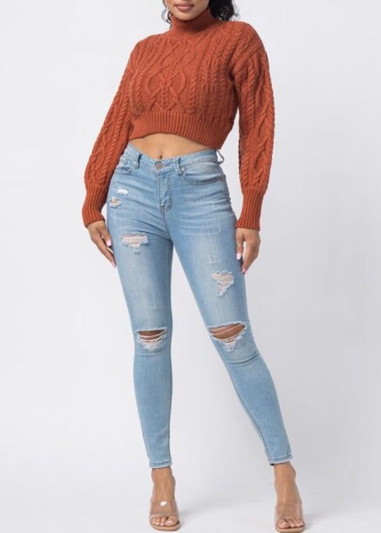 Hera Collection Turtle Neck Crop Cable Sweater (Rust) 22574